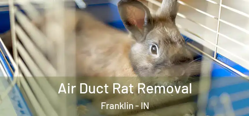  Air Duct Rat Removal Franklin - IN