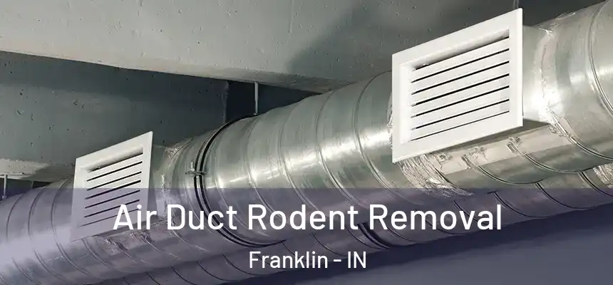  Air Duct Rodent Removal Franklin - IN