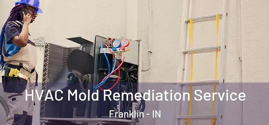  HVAC Mold Remediation Service Franklin - IN