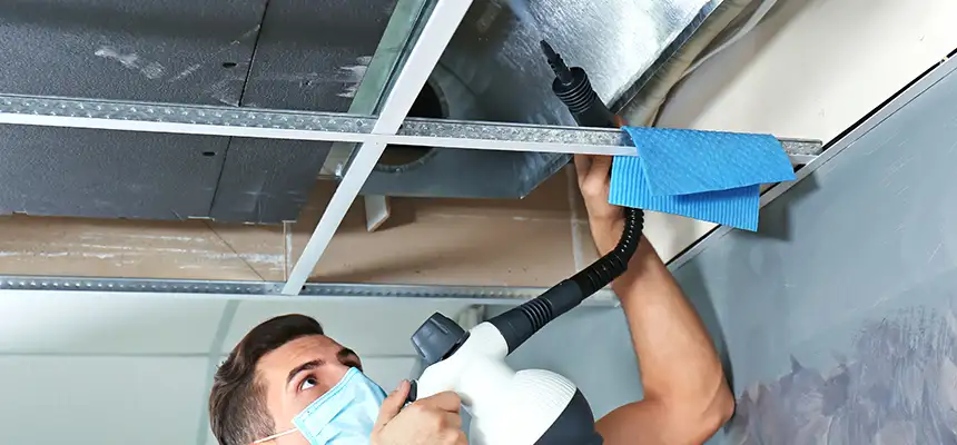 Our Air Duct Rodent Removal Services in Franklin, IN