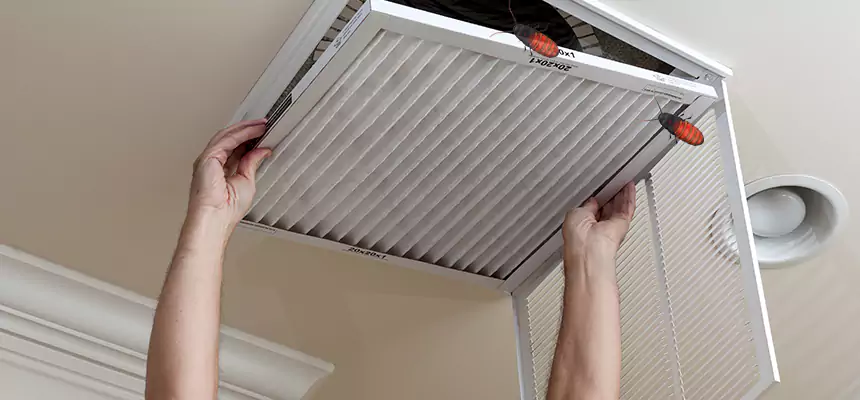 Our Insect Removal from Air Ducts Services in Franklin, IN