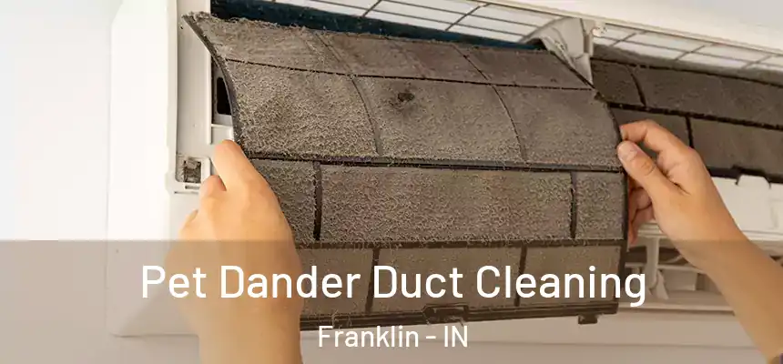 Pet Dander Duct Cleaning Franklin - IN