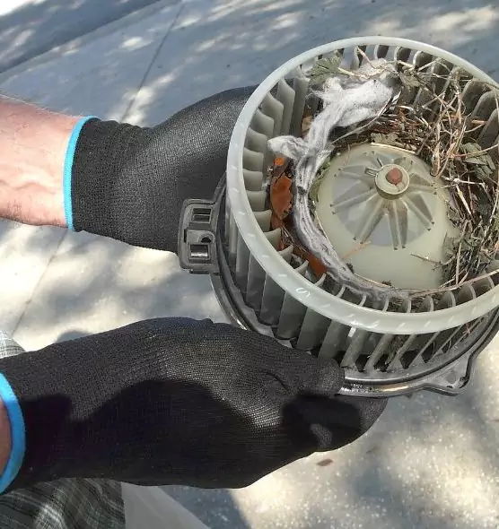 About Air Duct Mice Removal in Franklin, IN