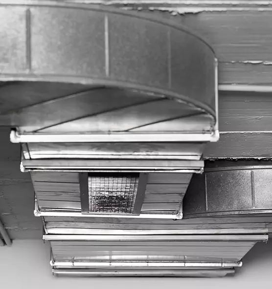 Professional Air Duct Pest Removal in Franklin, IN