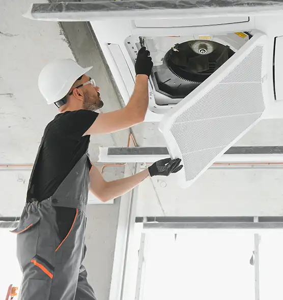 About Air Duct Rodent Removal in Franklin, IN