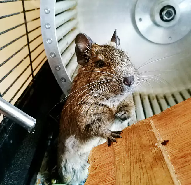 Why Homeowners & Businesses Trust Us Franklin, IN